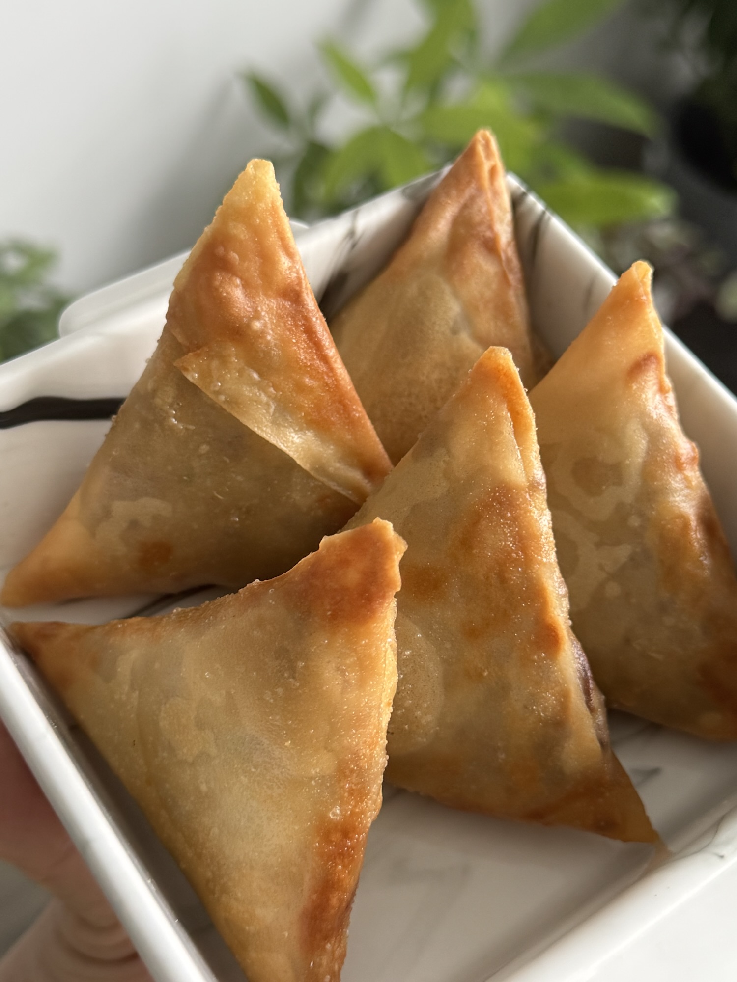 Beef/Chicken Samosa