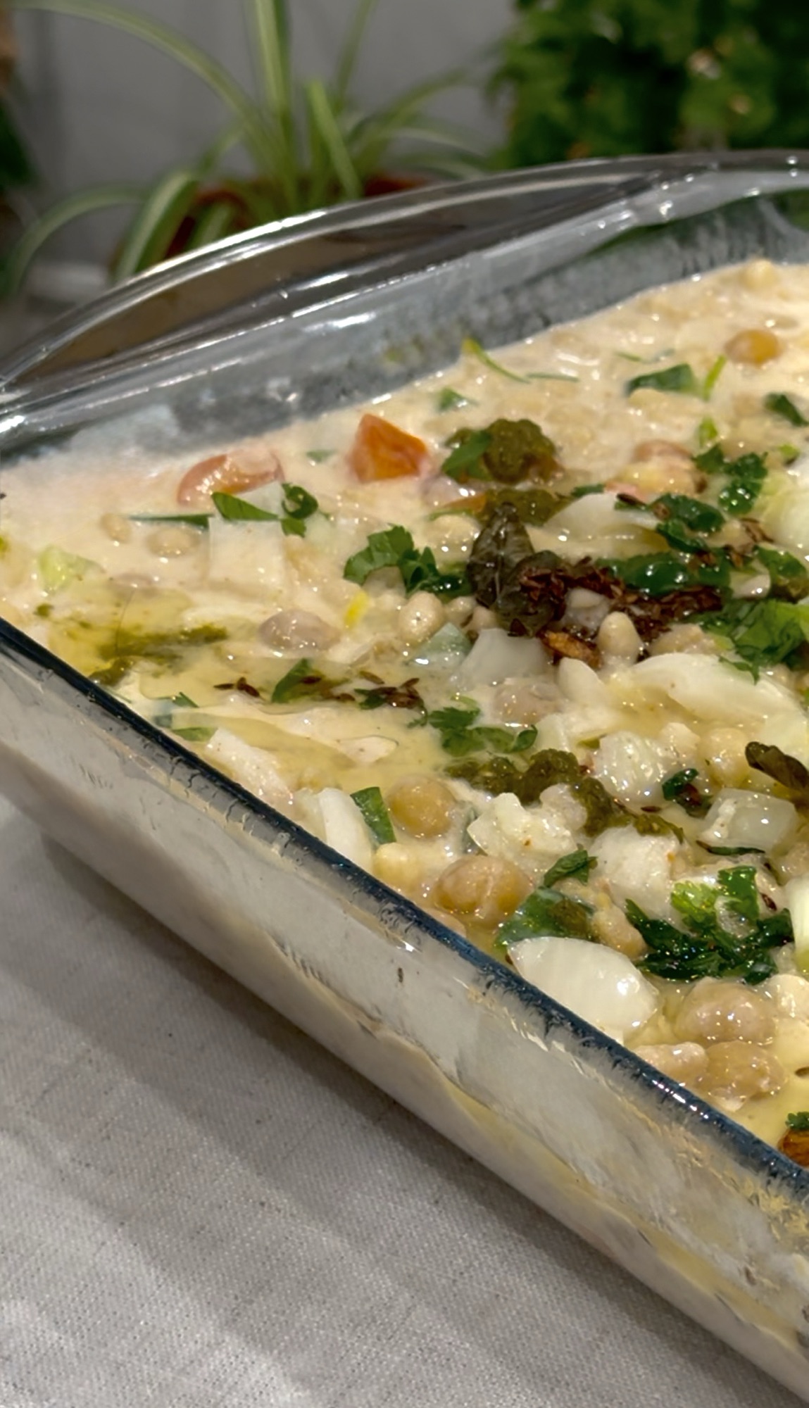 Quick Set Dahi Boondi Mix Chaat