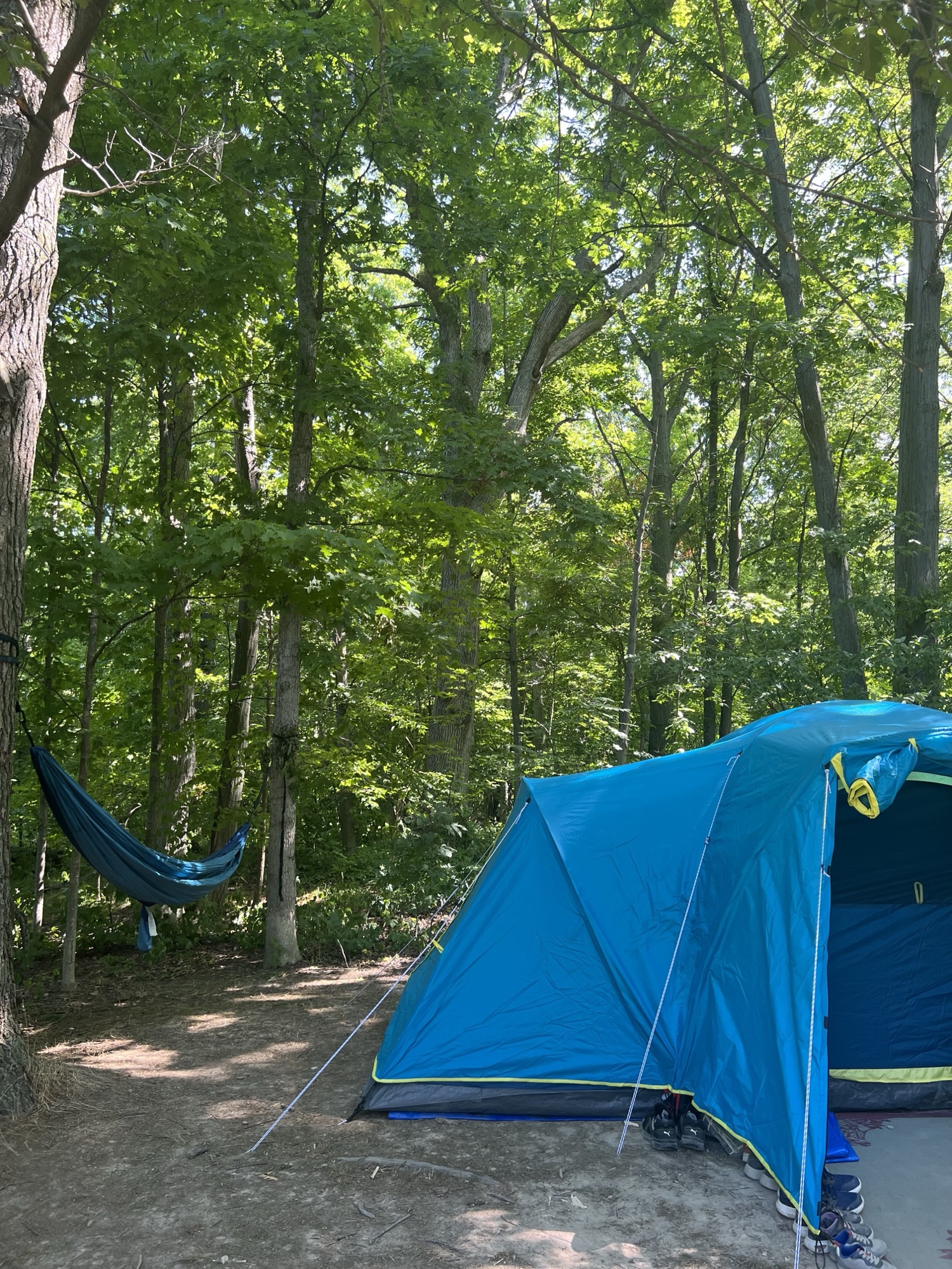 Benifits of camping